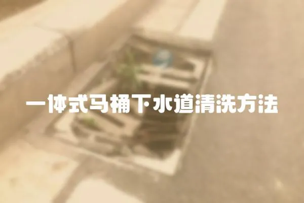 一體式馬桶下水道清洗方法