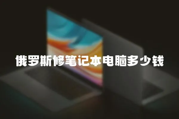 俄羅斯修筆記本電腦多少錢