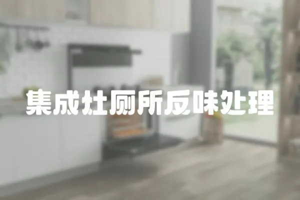 集成灶廁所反味處理