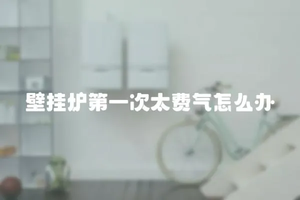 壁掛爐第一次太費(fèi)氣怎么辦