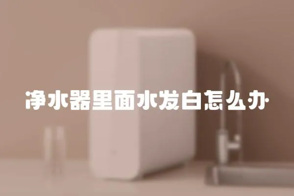 凈水器里面水發白怎么辦