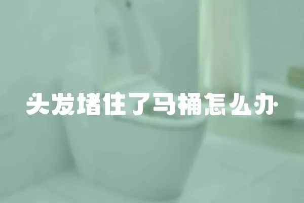 頭發堵住了馬桶怎么辦