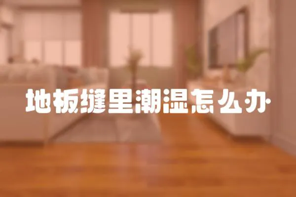 地板縫里潮濕怎么辦