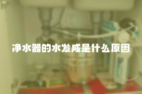 凈水器的水發咸是什么原因
