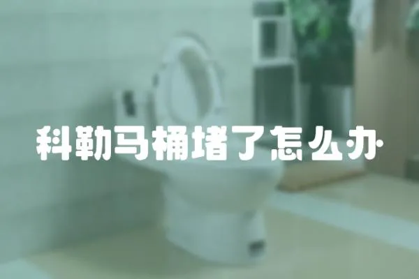 科勒馬桶堵了怎么辦