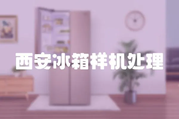 西安冰箱樣機處理