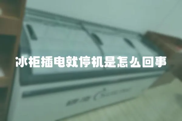 冰柜插電就停機是怎么回事