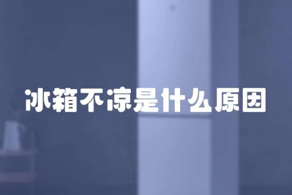 冰箱不涼是什么原因