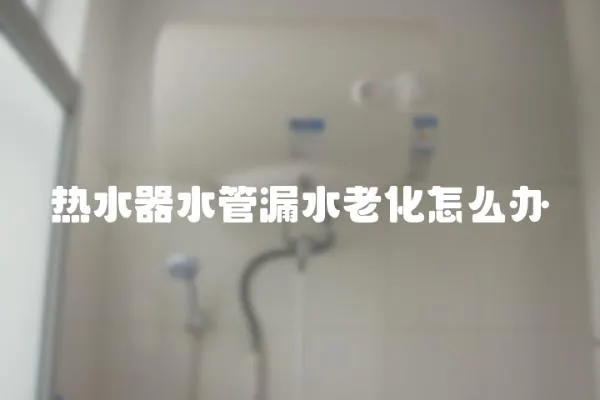 熱水器水管漏水老化怎么辦