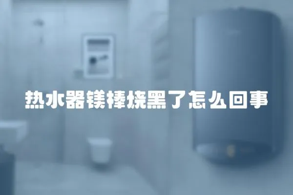 熱水器鎂棒燒黑了怎么回事