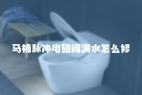 馬桶脈沖電磁閥漏水怎么修