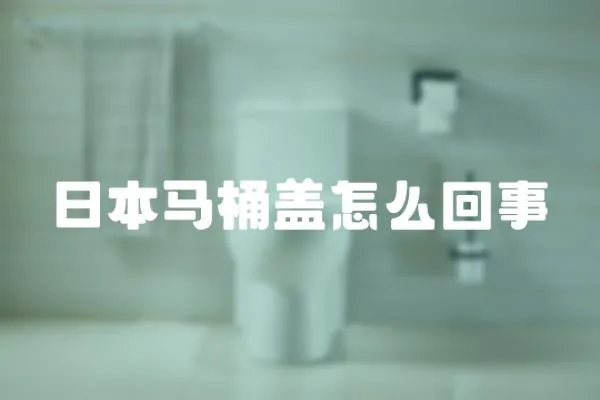 日本馬桶蓋怎么回事