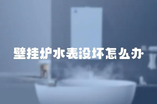壁掛爐水表沒壞怎么辦