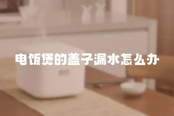 電飯煲的蓋子漏水怎么辦