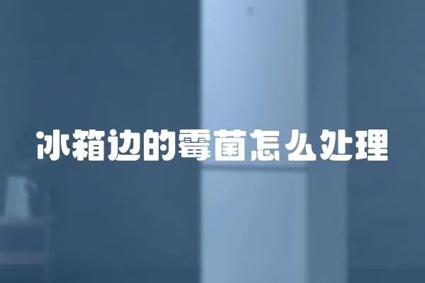 冰箱邊的霉菌怎么處理