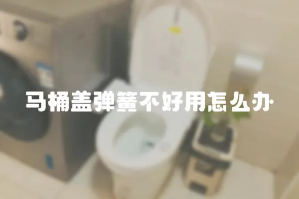 马桶盖弹簧不好用怎么办