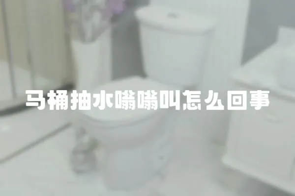 马桶抽水嗡嗡叫怎么回事