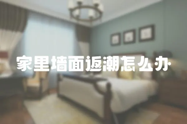 家里墻面返潮怎么辦