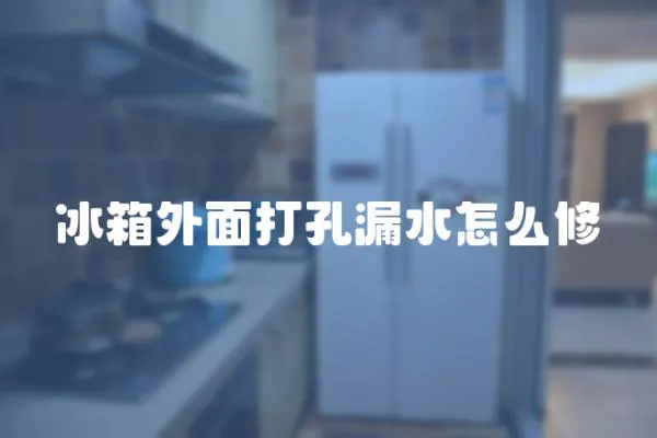 冰箱外面打孔漏水怎么修