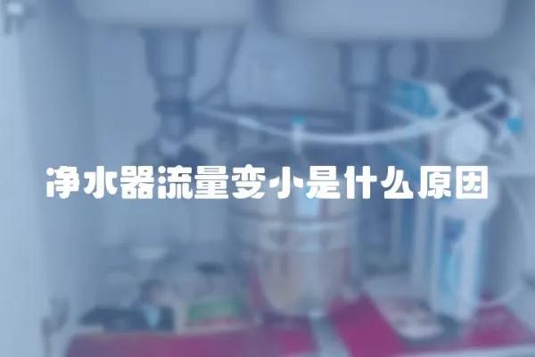 凈水器流量變小是什么原因