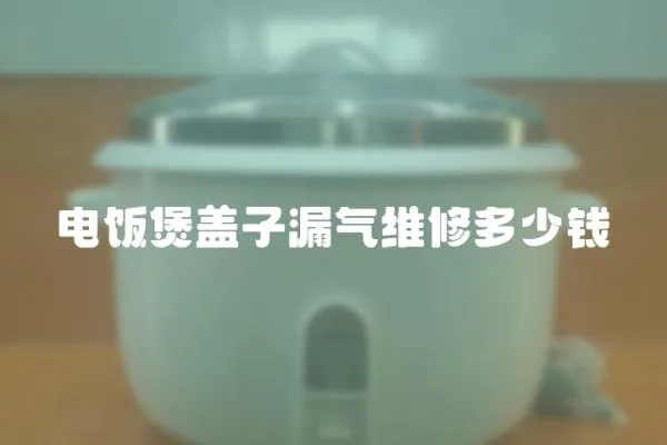 電飯煲蓋子漏氣維修多少錢