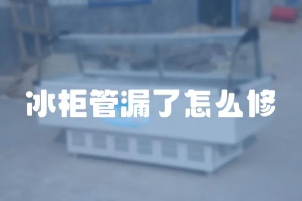 冰柜管漏了怎么修