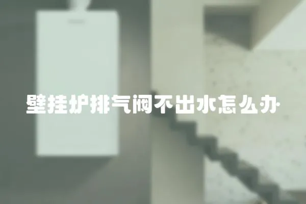 壁掛爐排氣閥不出水怎么辦