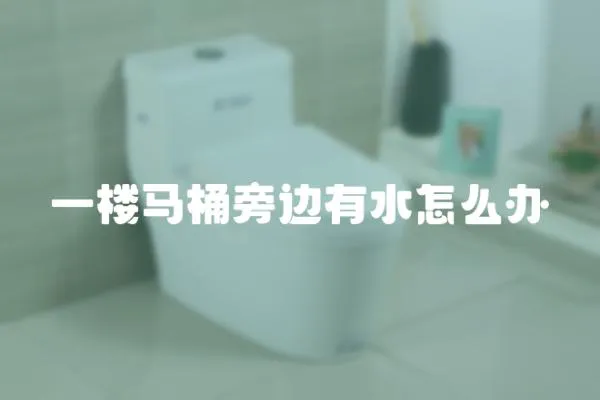 一樓馬桶旁邊有水怎么辦