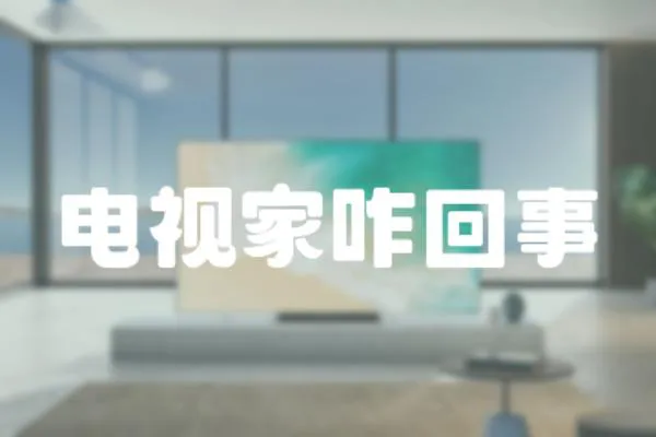 電視家咋回事
