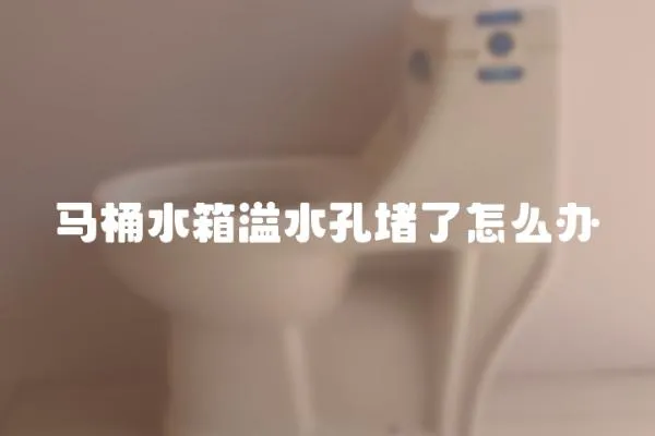 马桶水箱溢水孔堵了怎么办