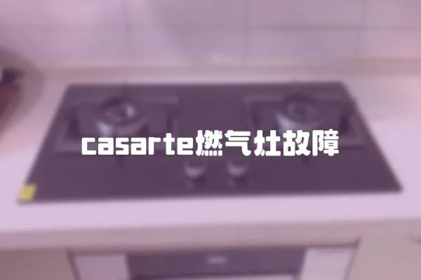 casarte燃氣灶故障