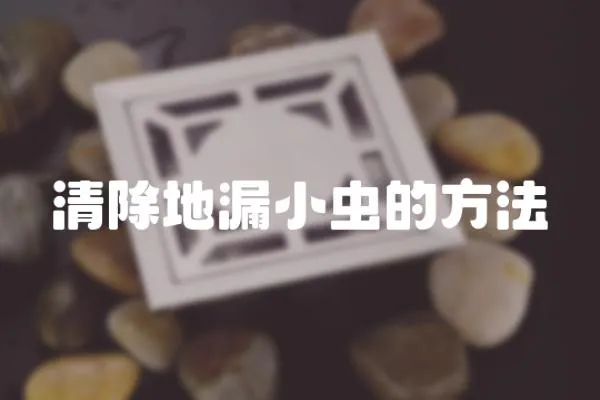 清除地漏小蟲的方法