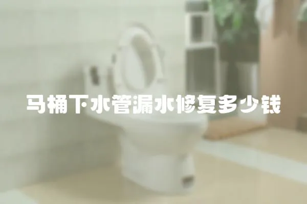 馬桶下水管漏水修復多少錢