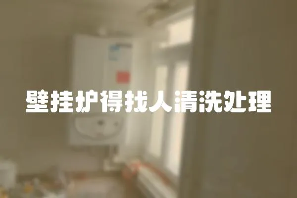 壁掛爐得找人清洗處理