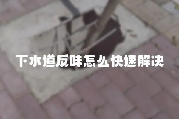 下水道反味怎么快速解決