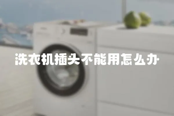 洗衣機(jī)插頭不能用怎么辦