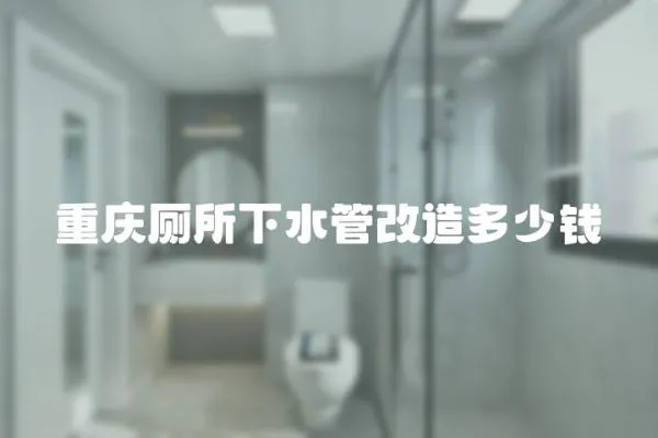 重慶廁所下水管改造多少錢