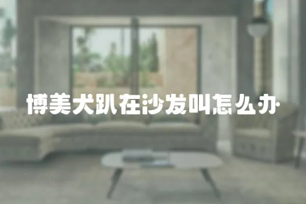 博美犬趴在沙發(fā)叫怎么辦