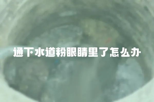 通下水道粉眼睛里了怎么辦