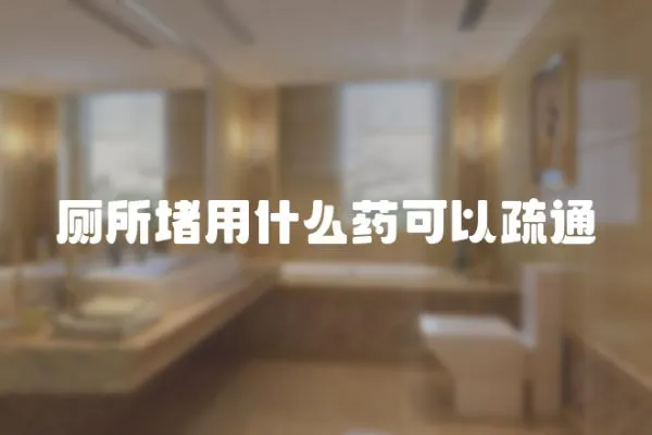 廁所堵用什么藥可以疏通