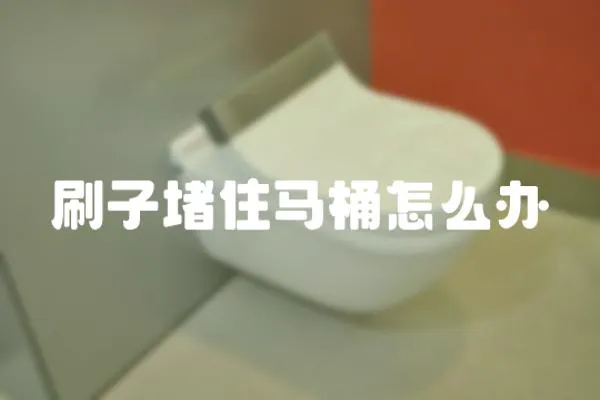 刷子堵住馬桶怎么辦