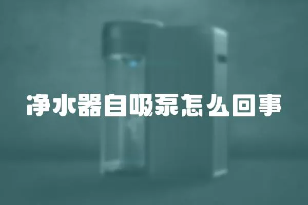 凈水器自吸泵怎么回事