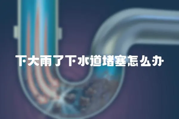 下大雨了下水道堵塞怎么辦