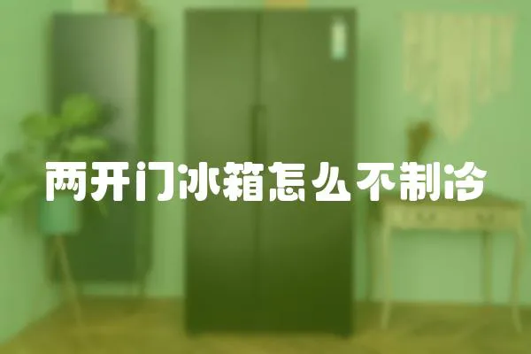 兩開門冰箱怎么不制冷