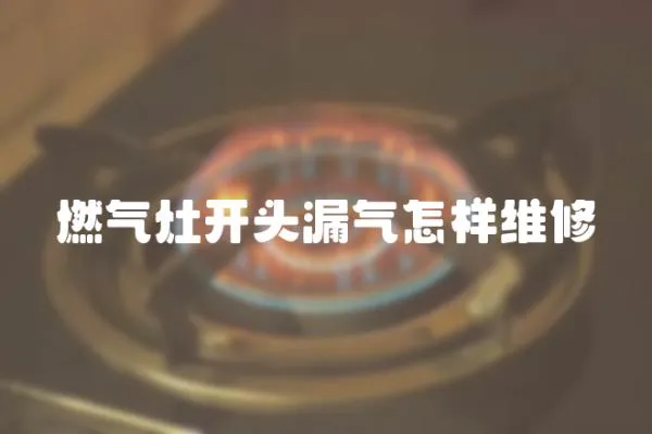 燃氣灶開頭漏氣怎樣維修