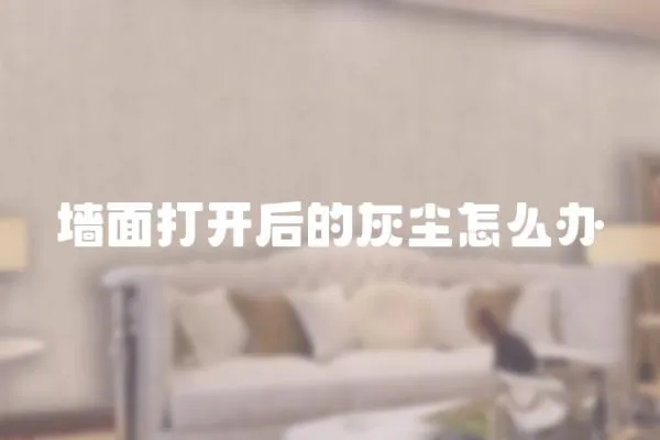 墻面打開后的灰塵怎么辦