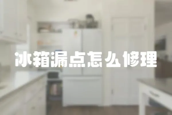 冰箱漏點怎么修理