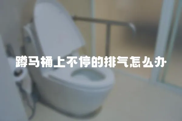 蹲馬桶上不停的排氣怎么辦