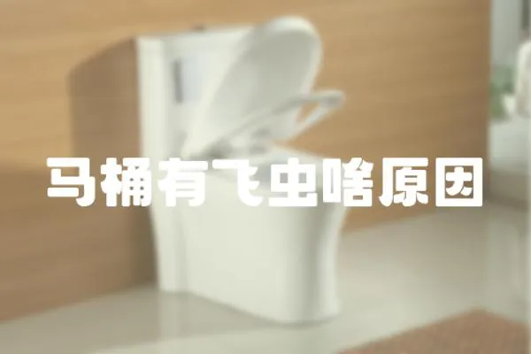 馬桶有飛蟲啥原因