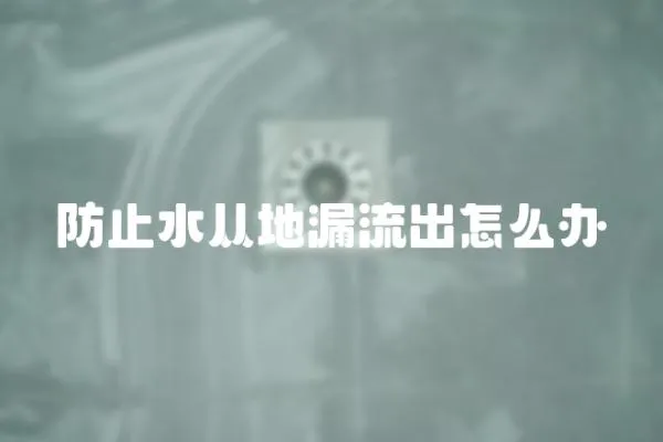 防止水從地漏流出怎么辦